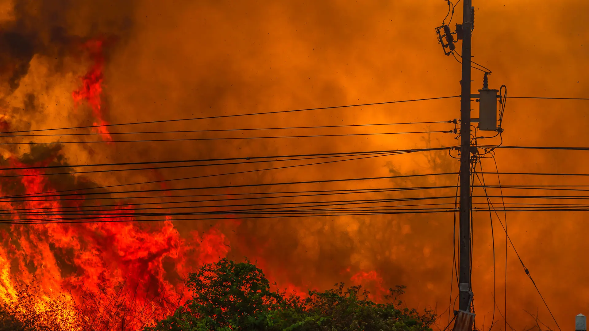 Altruistic- using AI to predict wildfires on electric grids